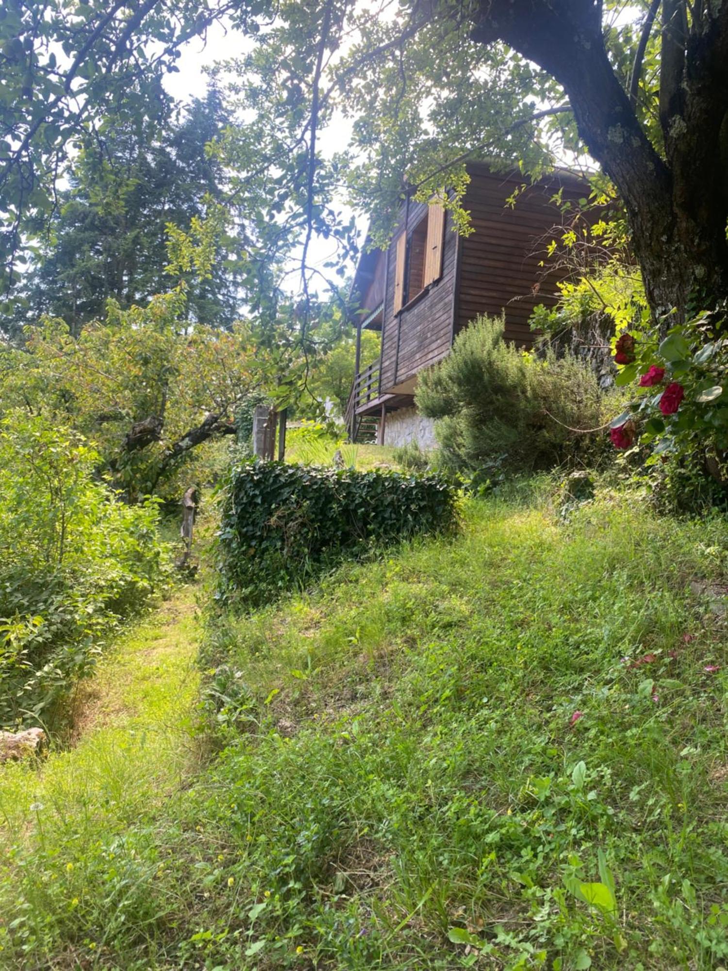 Chalet Les Accacias Vocance ภายนอก รูปภาพ